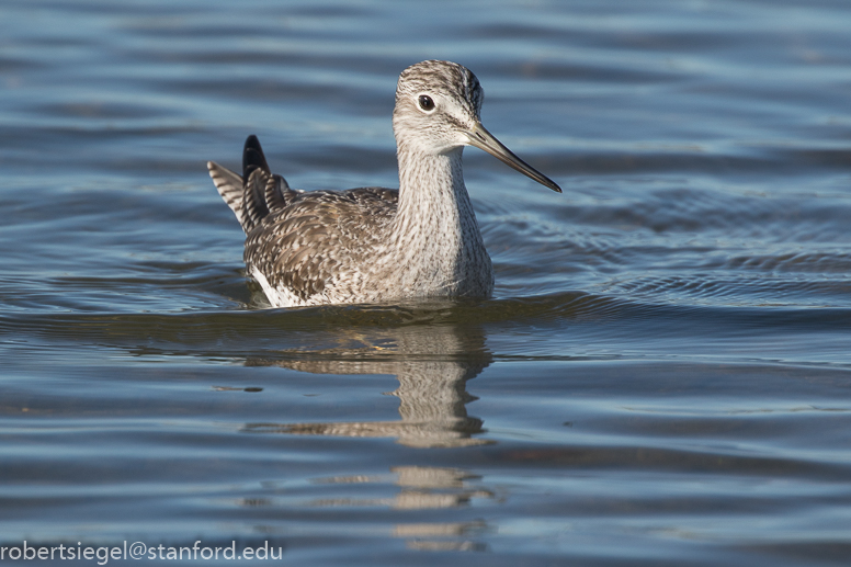 shoreline park